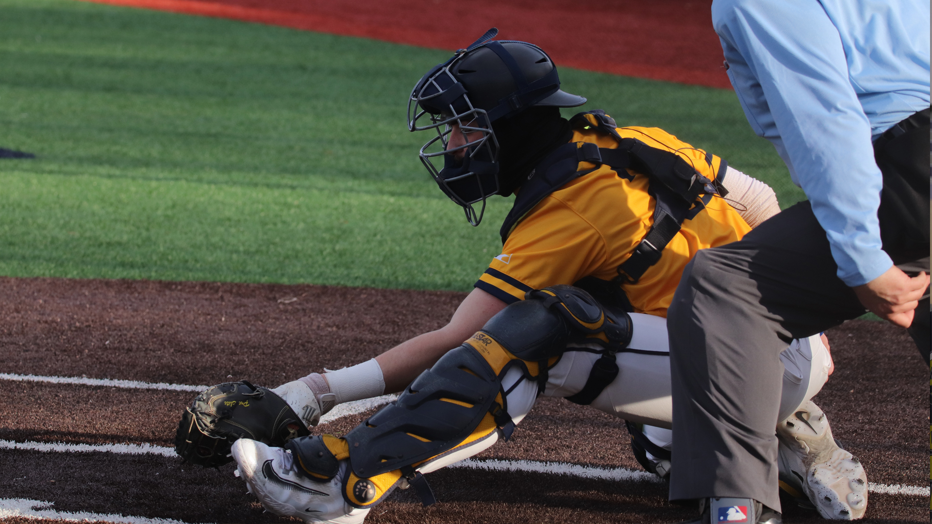 Baseball Stung the Blue Hawks; Taken Down by the Warriors