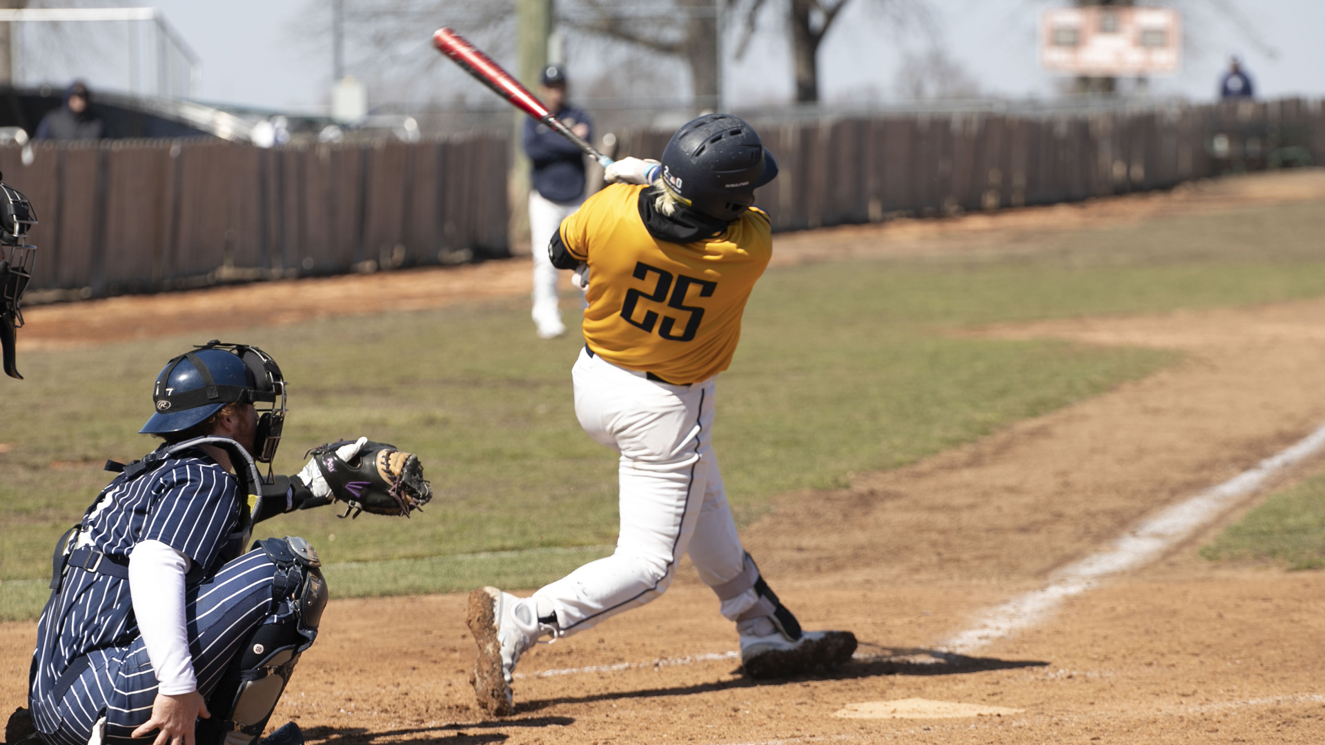 Baseball Defeated in Doubleheader to the Mustangs