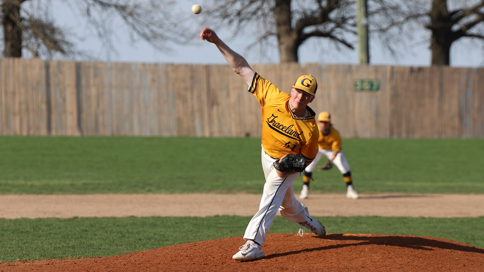 Baseball Caged the Tigers in the Final Inning