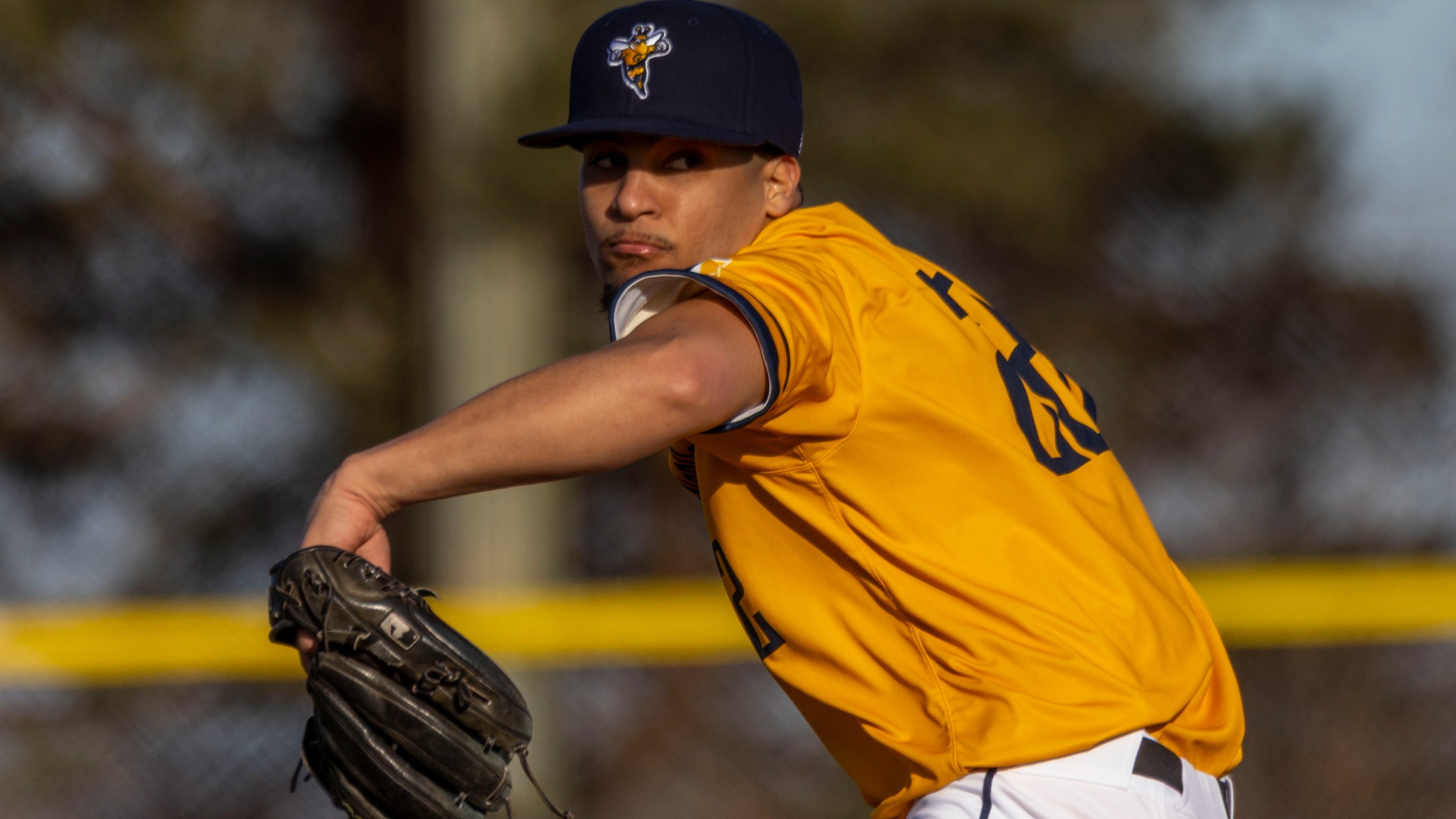 Concordia (NE) Takes Twin Bill from Graceland at LaRoche Complex