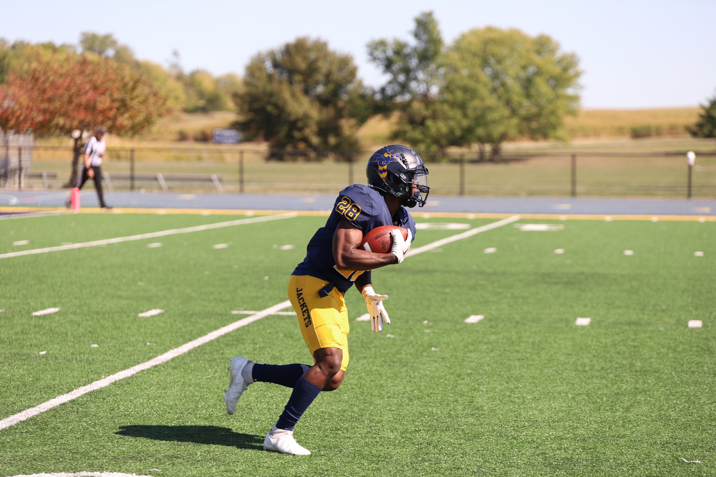 Football Fall to Wildcats