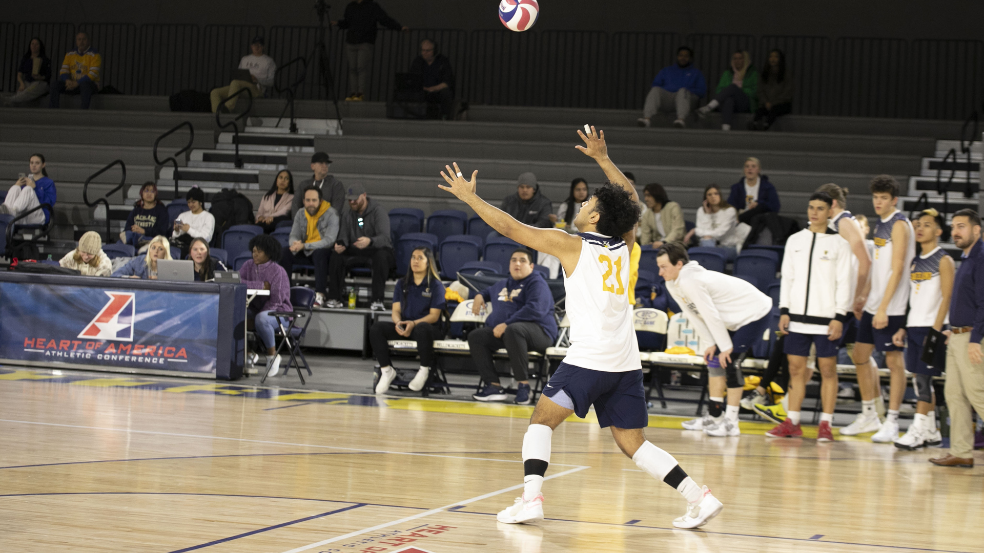 Men's Volleyball Halted by the Mustangs