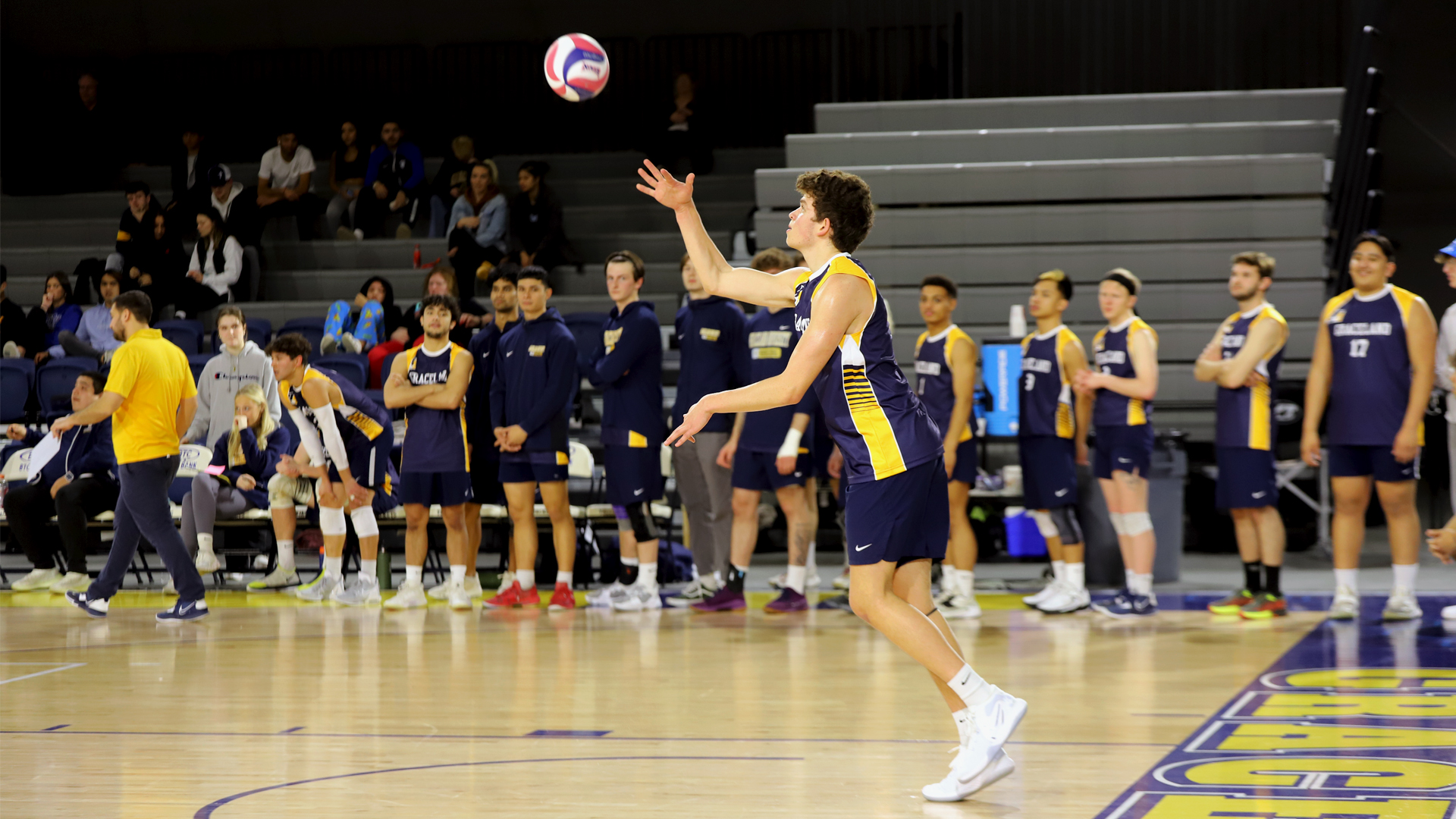 Men's Volleyball Stings the Wildcats