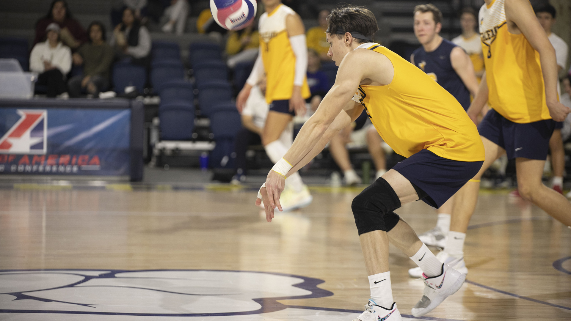 Men's Volleyball Halted by the Vikings