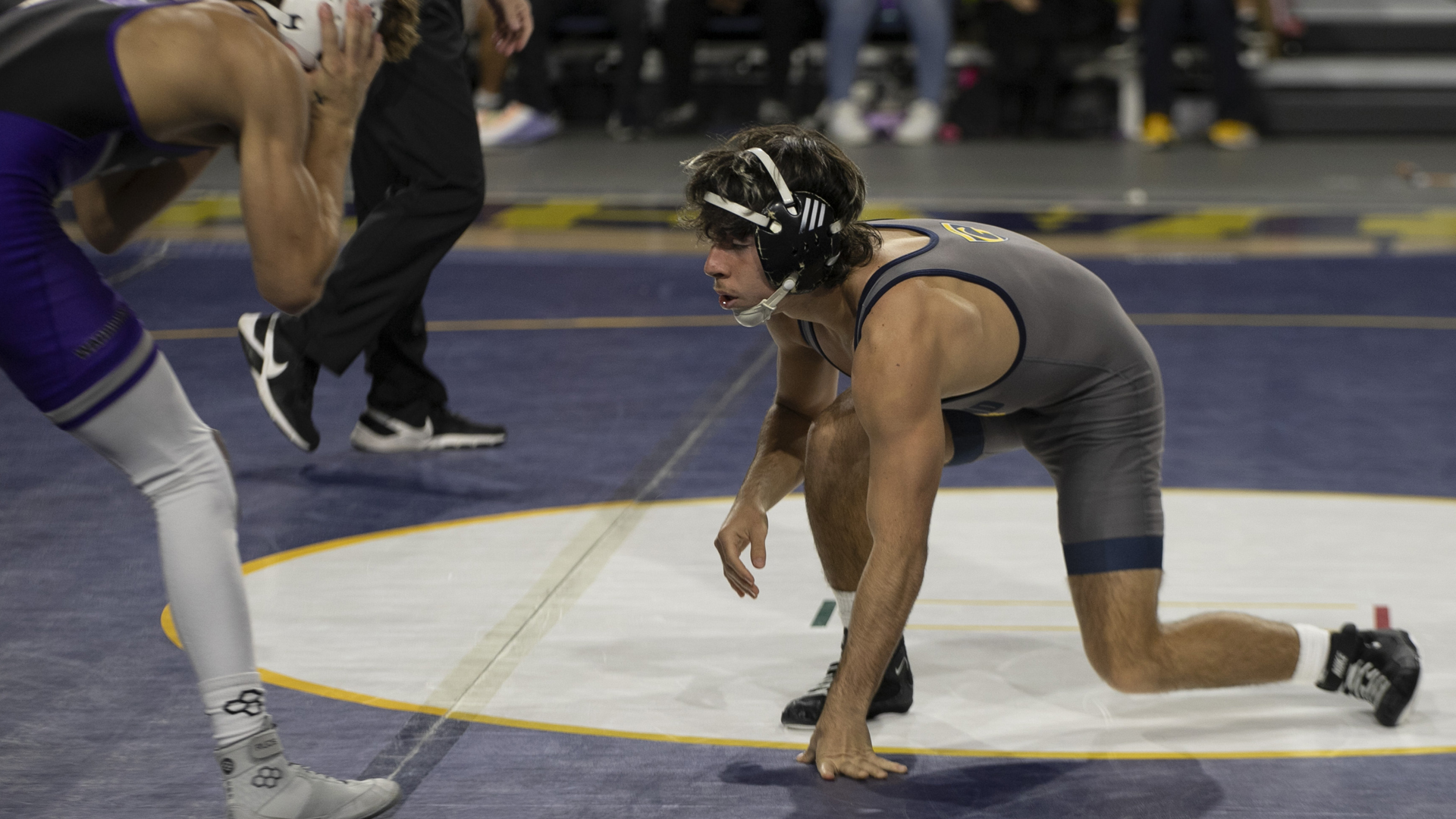 Wrestling Stopped William Penn