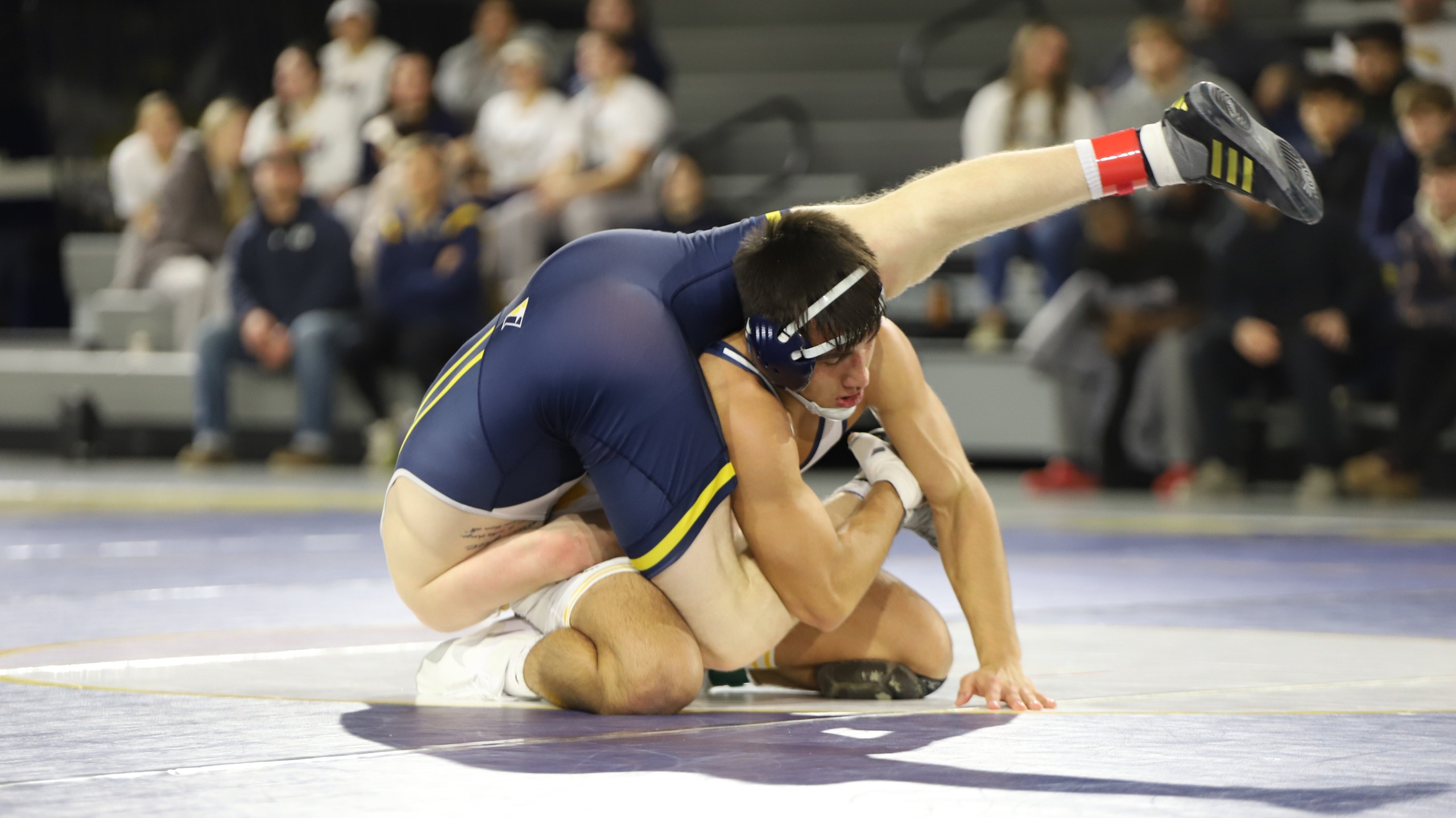 #24 GU Wrestling Falls to #15 Missouri Valley in Nationally Ranked Showdown