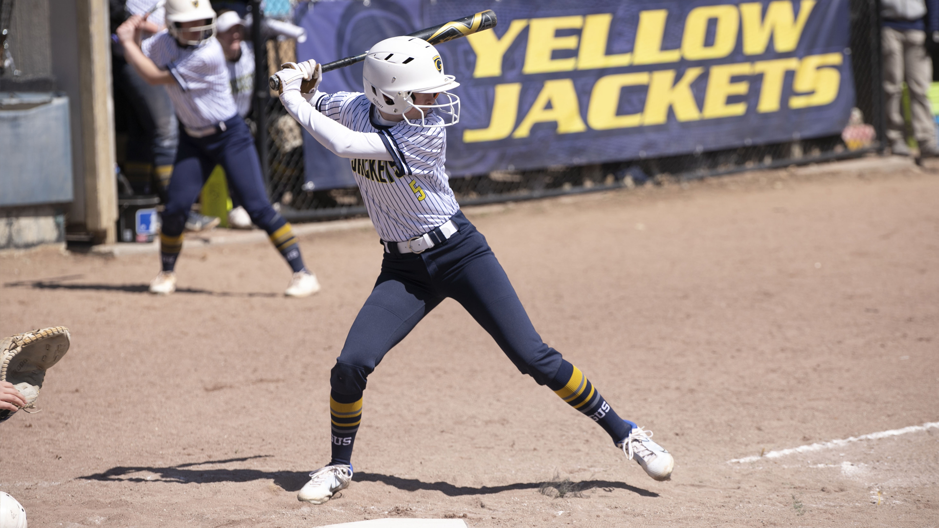 Softball Caged by the Vikings