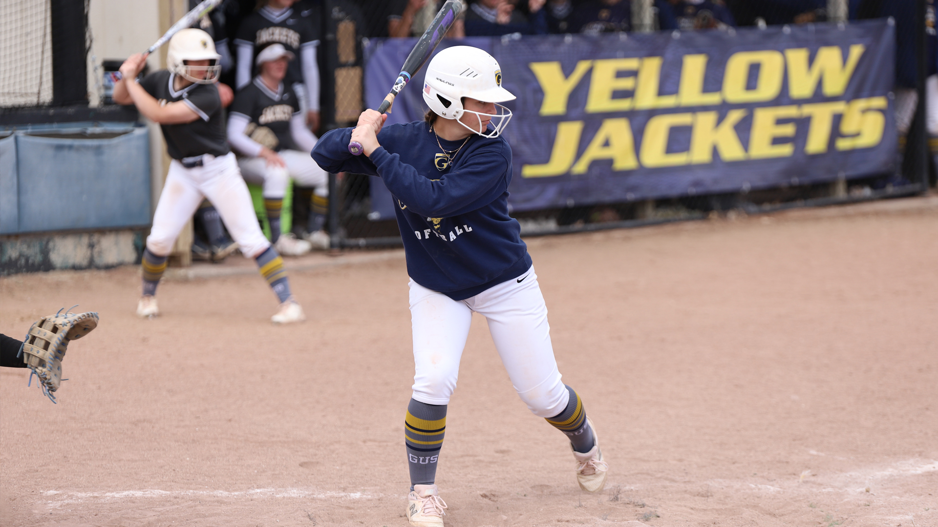 Softball Halted by the Wildcats