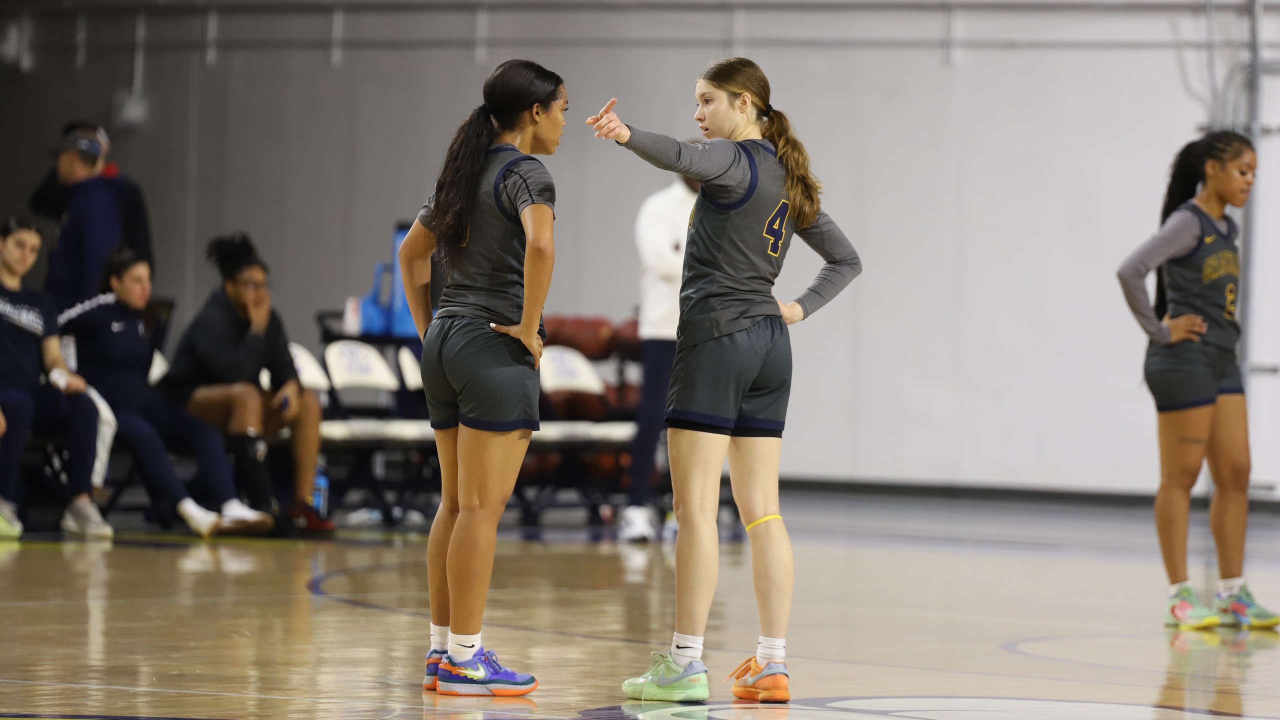Women's Basketball Falls to St. Francis, Looks Ahead to Benedictine Matchup