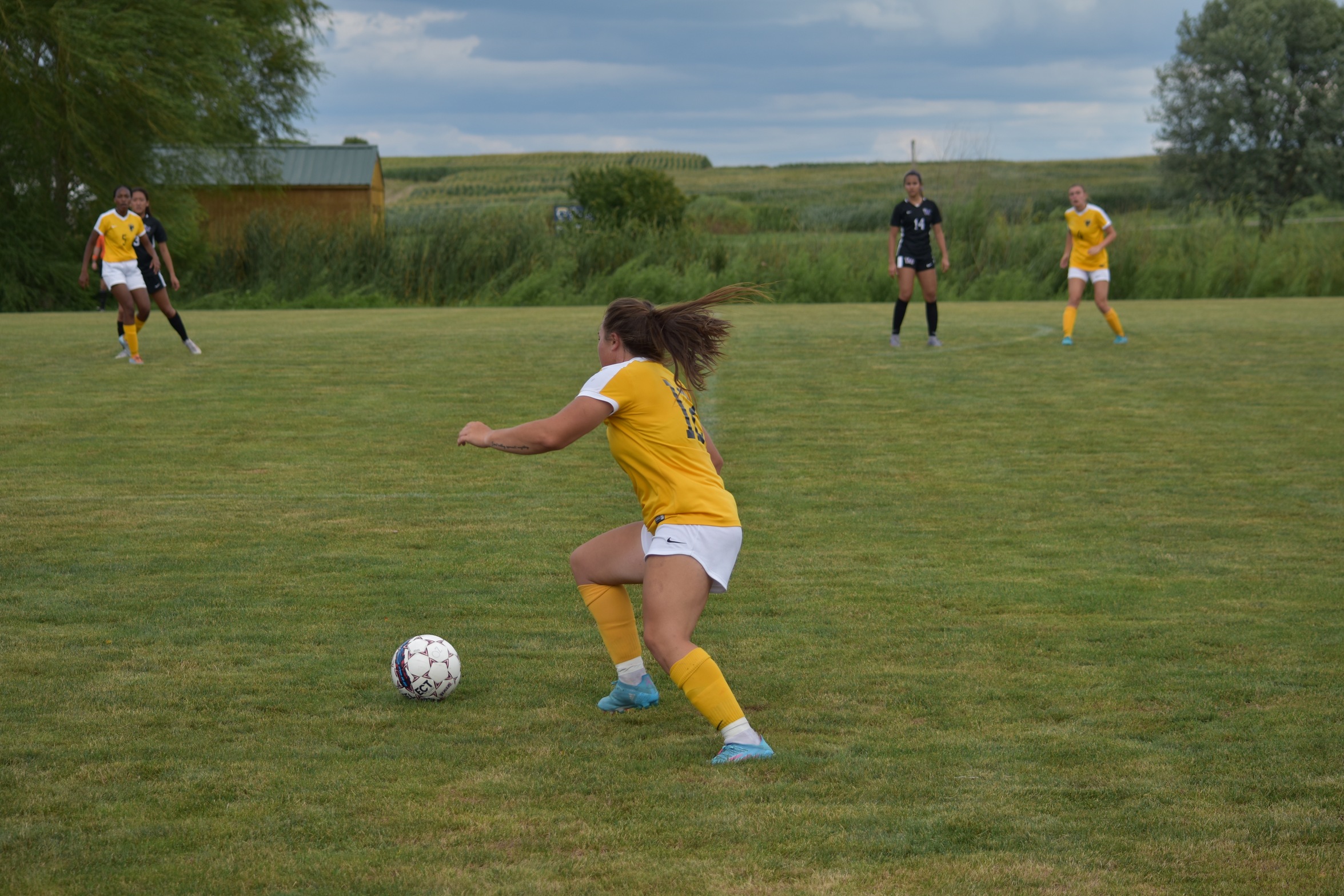 The Yellowjackets Bit By Bulldogs