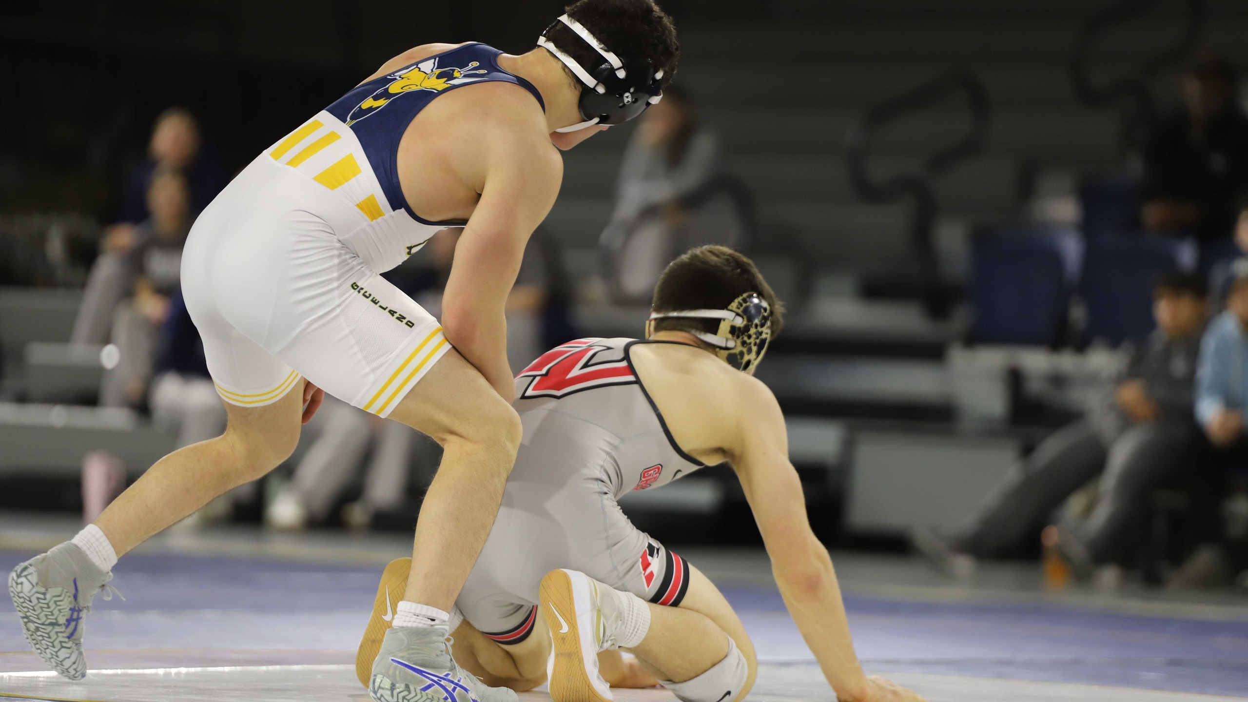 Graceland Wrestling Competes at Missouri Valley Open