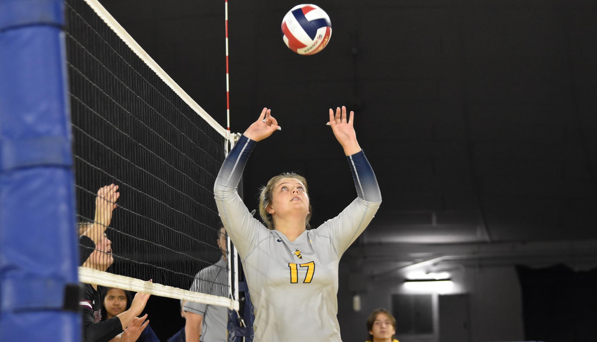 Women&rsquo;s Volleyball Bit by Wildcats