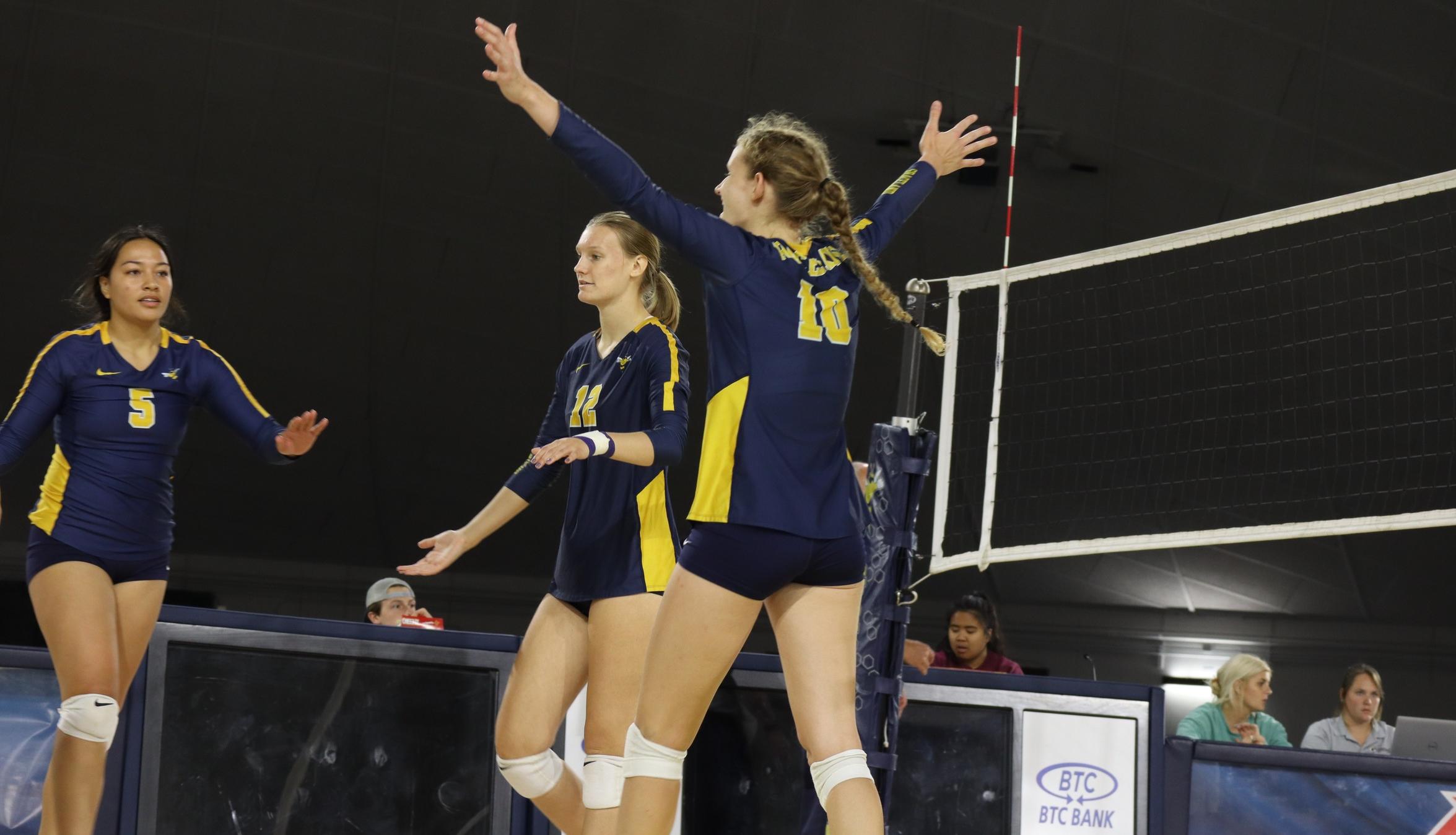 Women&rsquo;s Volleyball Cruises Past Tiger.