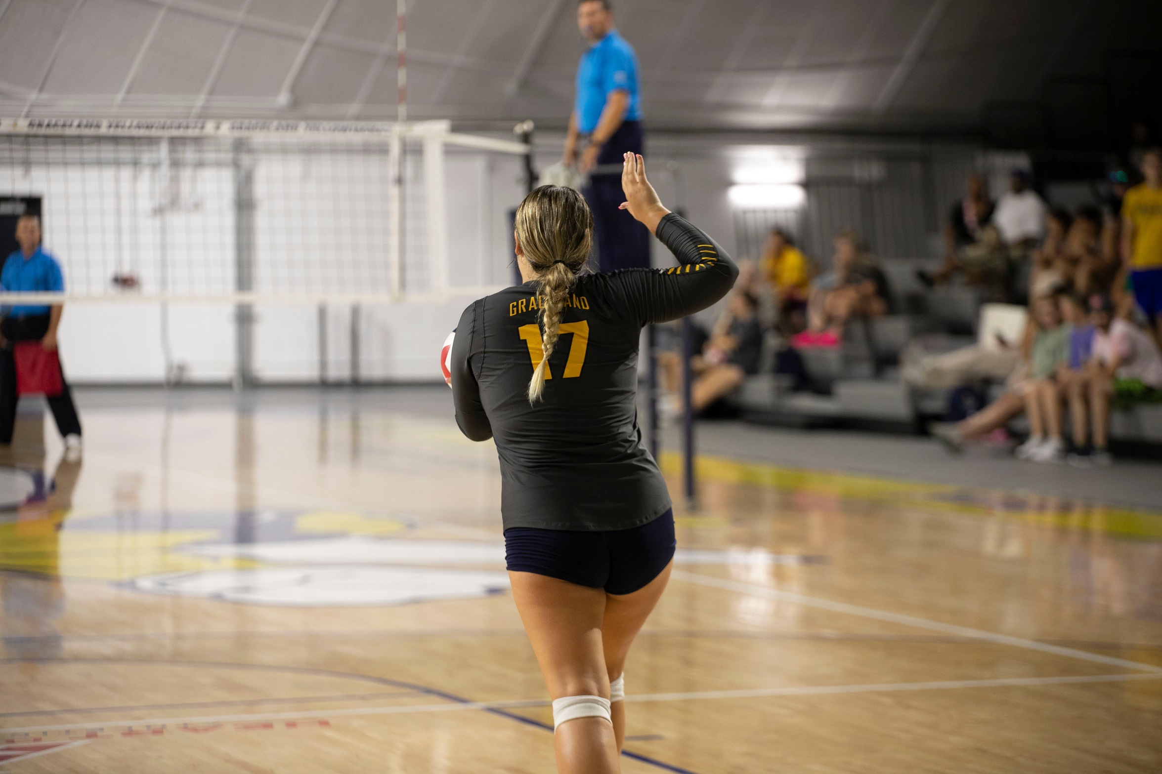 Women's Volleyball Defeated by Park